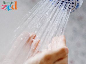 Meditação de limpeza e protecção