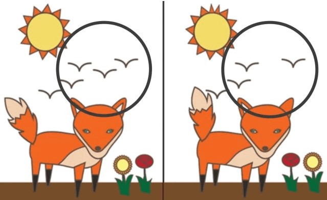Os pássaros.