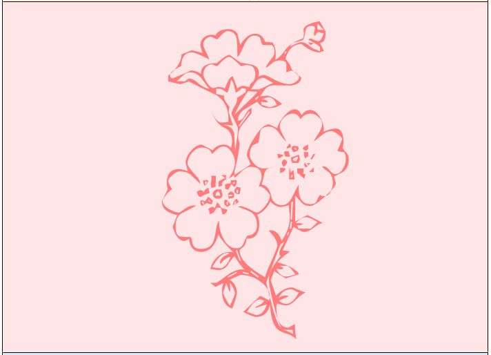 Melhora a tua vida com as essências Florais ZED – 2