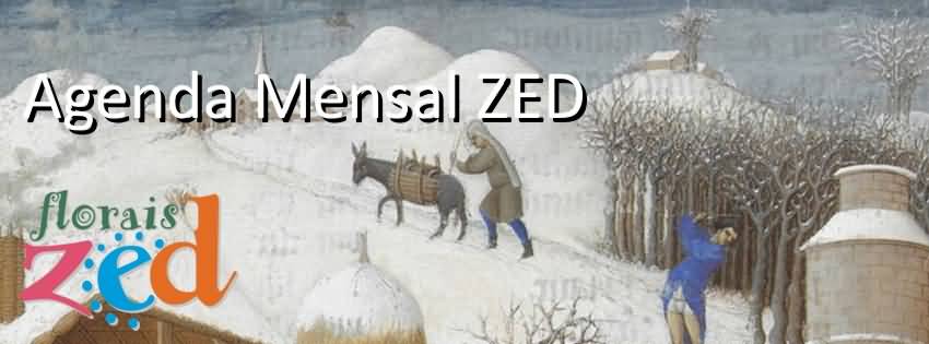 ILUMINURA DESTE MÊS