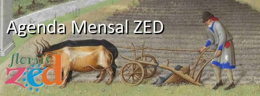 ILUMINURA DESTE MÊS